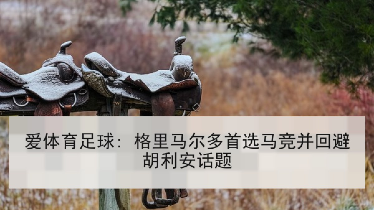 爱体育足球: 格里马尔多首选马竞并回避胡利安话题