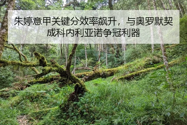 朱婷意甲关键分效率飙升，与奥罗默契成科内利亚诺争冠利器