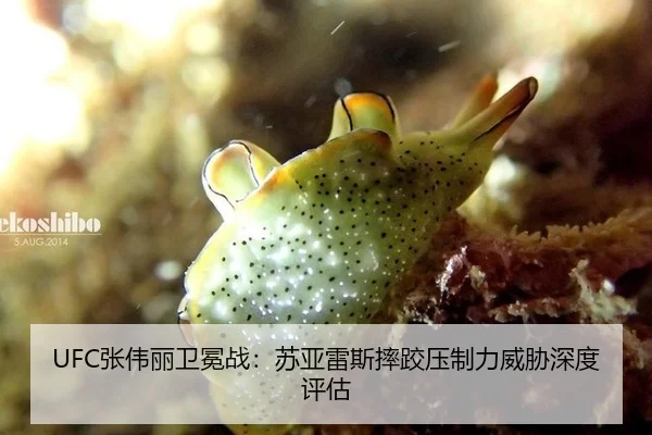UFC张伟丽卫冕战：苏亚雷斯摔跤压制力威胁深度评估