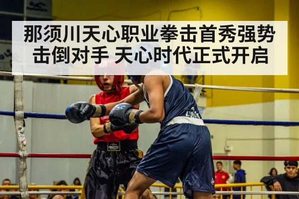 那须川天心职业拳击首秀强势击倒对手 天心时代正式开启